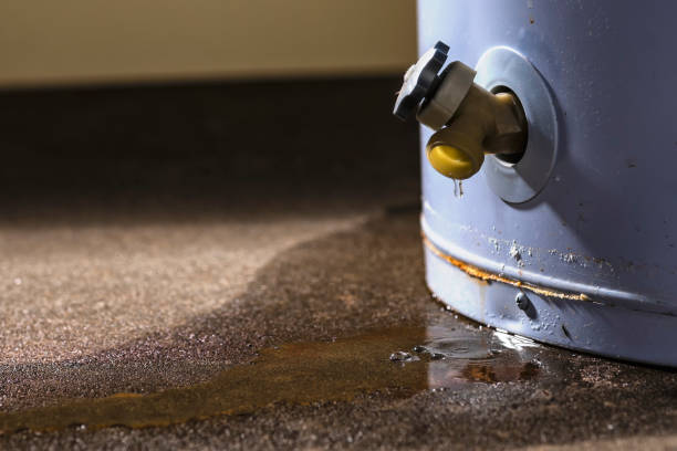 Best 24/7 water damage repair  in Lykens, PA