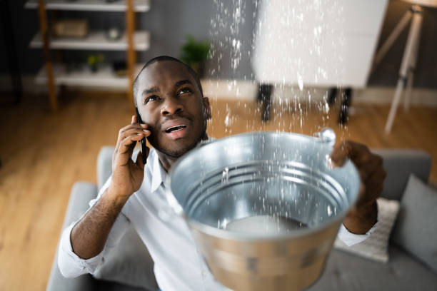 Best Flooded house restoration  in Lykens, PA
