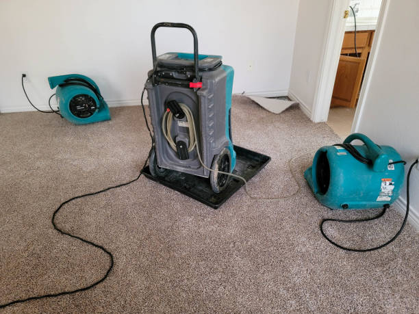 Best Water damage restoration services  in Lykens, PA