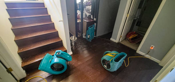 Best Flooded house restoration  in Lykens, PA