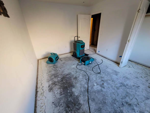 Best Water damage restoration near me  in Lykens, PA