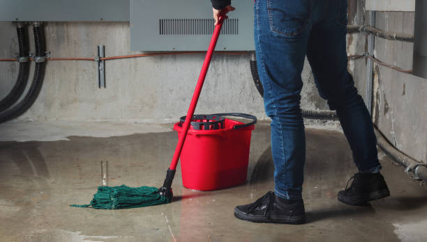 Best Flood damage cleanup  in Lykens, PA