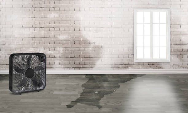 Best Fire Damage Restoration  in Lykens, PA
